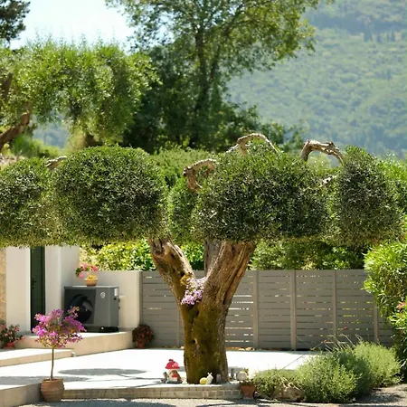 Olive Garden House Гастури
